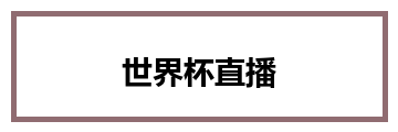 世界杯直播